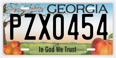 GA license plate PZX0454
