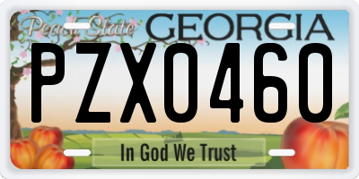 GA license plate PZX0460