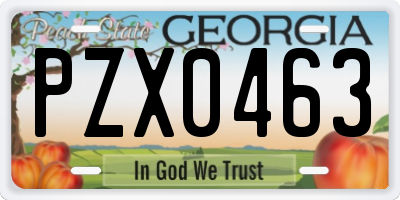 GA license plate PZX0463