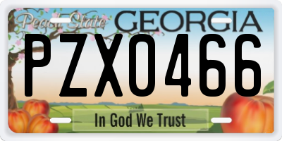 GA license plate PZX0466