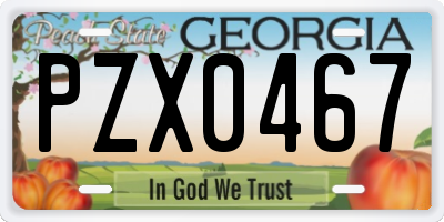GA license plate PZX0467