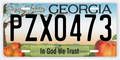 GA license plate PZX0473