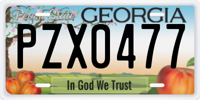GA license plate PZX0477