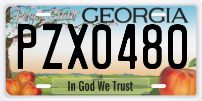 GA license plate PZX0480