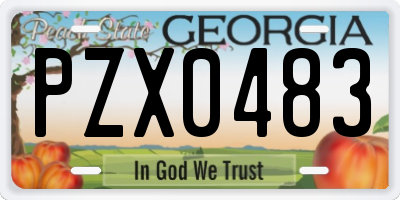 GA license plate PZX0483
