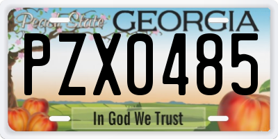 GA license plate PZX0485
