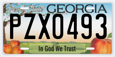 GA license plate PZX0493