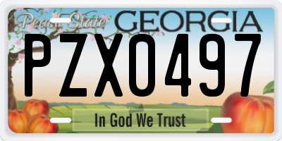GA license plate PZX0497