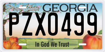GA license plate PZX0499