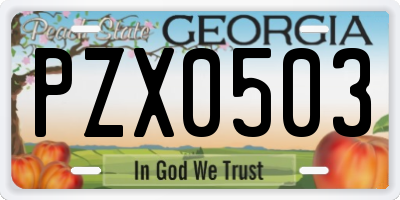 GA license plate PZX0503