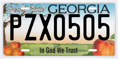 GA license plate PZX0505