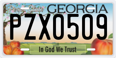 GA license plate PZX0509