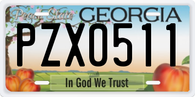 GA license plate PZX0511