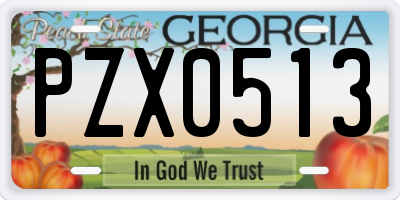 GA license plate PZX0513