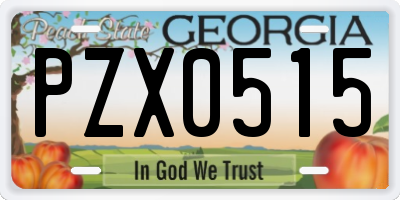 GA license plate PZX0515