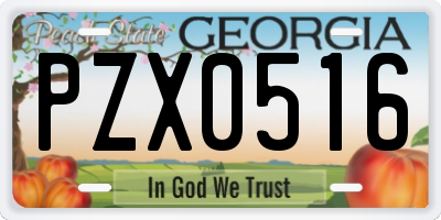 GA license plate PZX0516