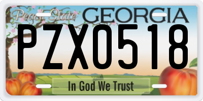 GA license plate PZX0518