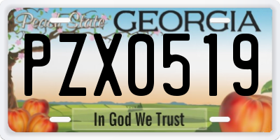 GA license plate PZX0519