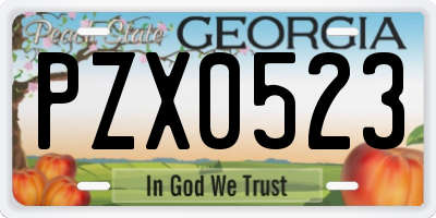 GA license plate PZX0523