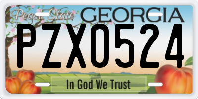 GA license plate PZX0524