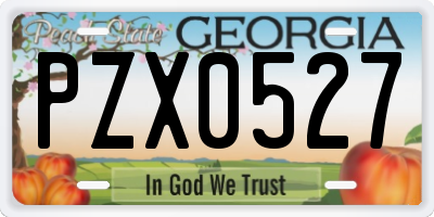 GA license plate PZX0527