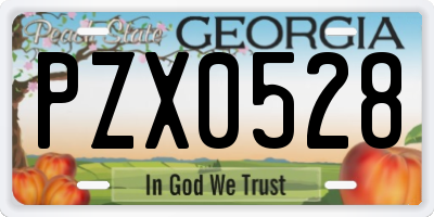 GA license plate PZX0528