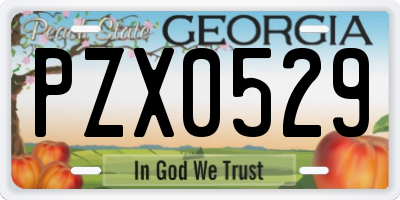 GA license plate PZX0529