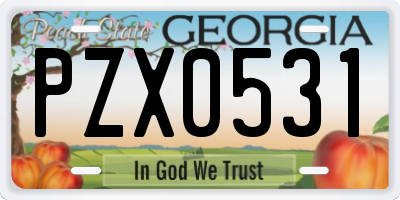 GA license plate PZX0531