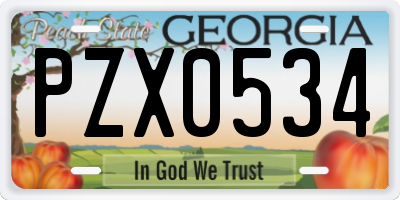 GA license plate PZX0534