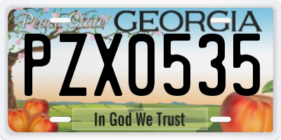 GA license plate PZX0535