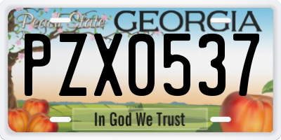 GA license plate PZX0537