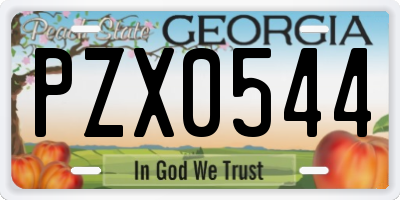 GA license plate PZX0544