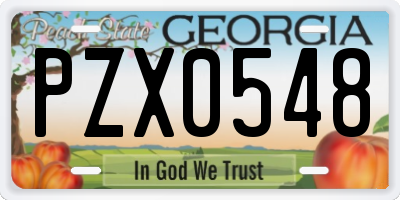 GA license plate PZX0548