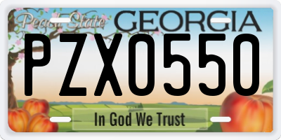 GA license plate PZX0550
