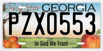GA license plate PZX0553