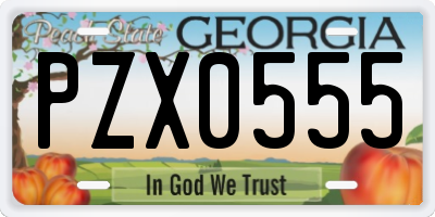 GA license plate PZX0555