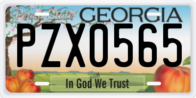 GA license plate PZX0565