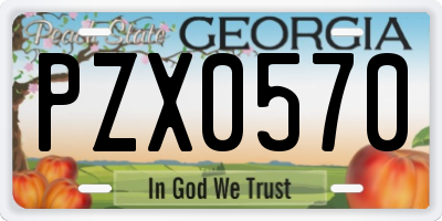 GA license plate PZX0570