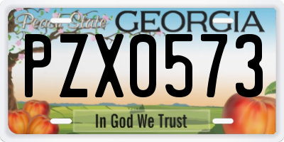 GA license plate PZX0573