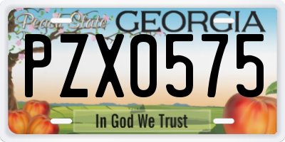 GA license plate PZX0575