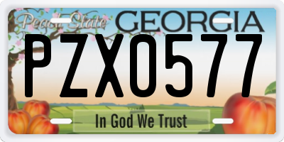 GA license plate PZX0577