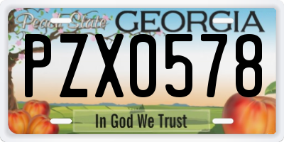 GA license plate PZX0578