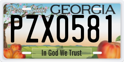 GA license plate PZX0581