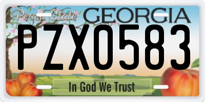 GA license plate PZX0583
