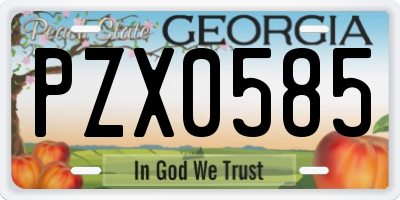 GA license plate PZX0585