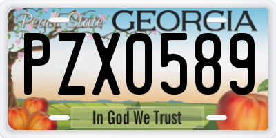 GA license plate PZX0589