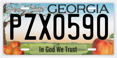 GA license plate PZX0590