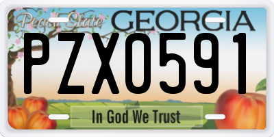 GA license plate PZX0591
