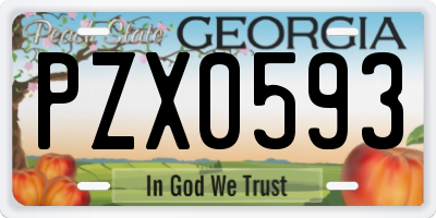 GA license plate PZX0593