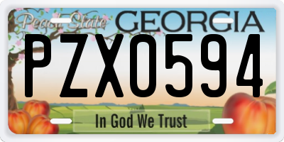 GA license plate PZX0594
